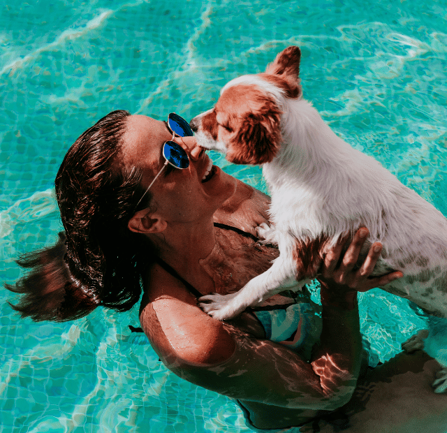 5 motivos para ter um pet em 2025 Latidos e Lambidas Capa Web Stories