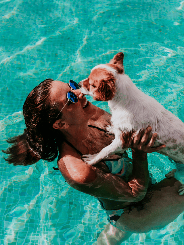 5 motivos para ter um pet em 2025