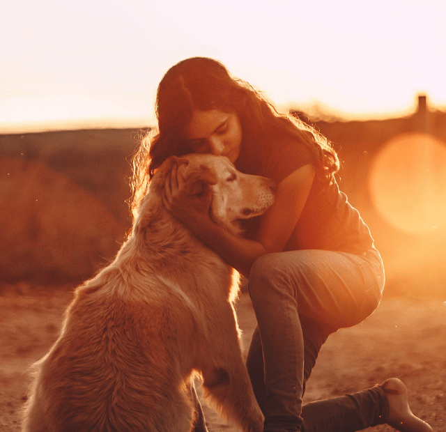 Apego emocional com animais de estimação Existe equilíbrio Latidos e Lambidas Capa Web Stories