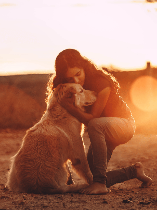 Apego emocional com animais de estimação: Existe equilíbrio?