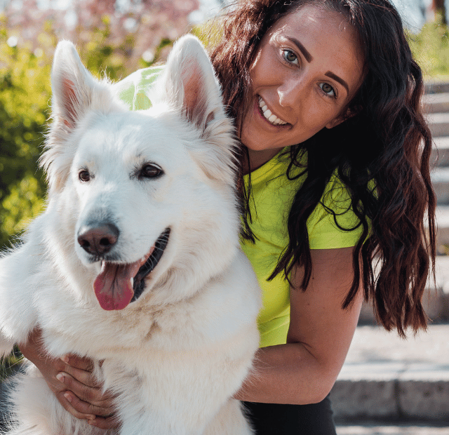 Como ser um bom dono de cachorro Invest Sustain Energia Solar Capa Web Stories