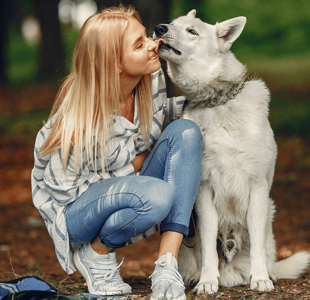 O que a psicologia diz sobre quem gosta de cachorro Invest Sustain Energia Solar Capa Web Stories