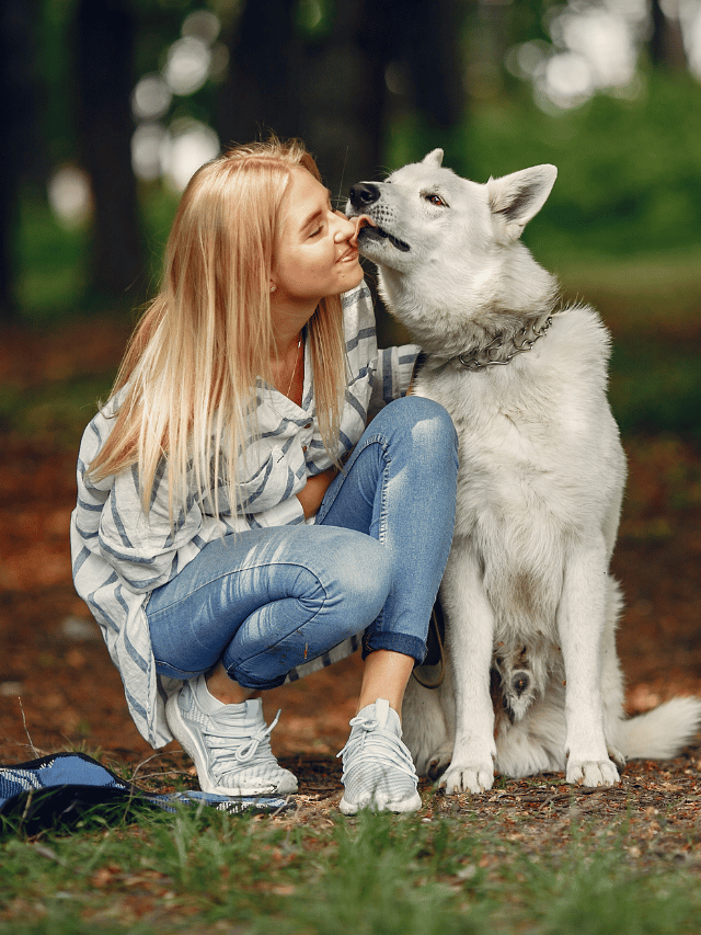 O que a psicologia diz sobre quem gosta de cachorro?
