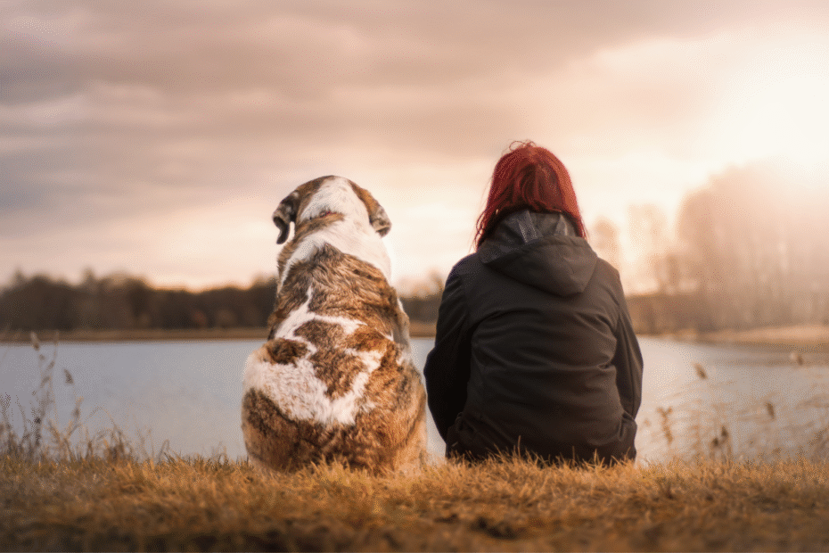 Por que meu cachorro está rouco Principais causas e sintomas Latidos e Lambidas Blog para Cães