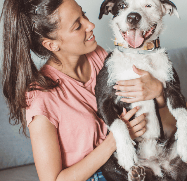 Seu Pet é grudado em você ou é mais independente Latidos e Lambidas Capa Web Stories