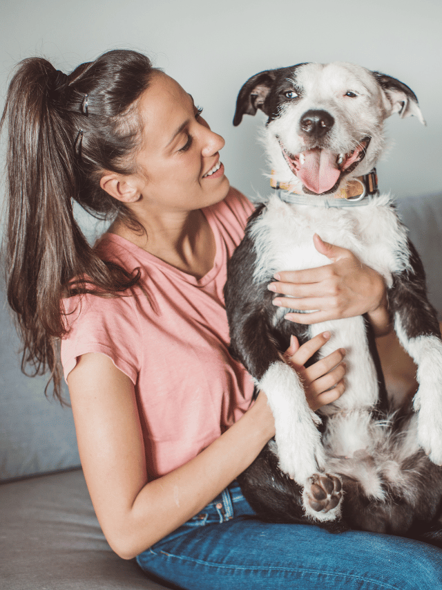 Seu Pet é grudado em você ou é mais independente?