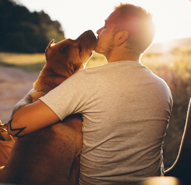 Seu cão tem medo de barbas Estudo diz que 1 milhão também têm Latidos e Lambidas Capa Web Stories