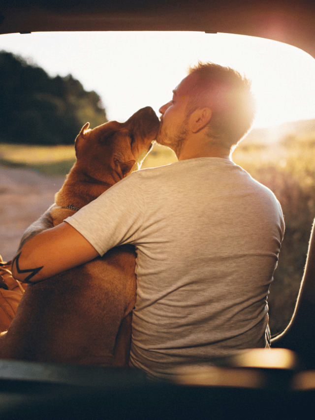 Seu cão tem medo de barbas? Estudo diz que 1 milhão também têm
