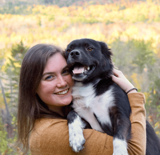 Você considera seu pet como um filho Latidos e Lambidas Capa Web Stories