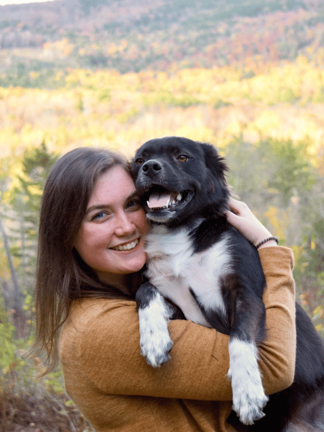 Você considera seu pet como um filho?