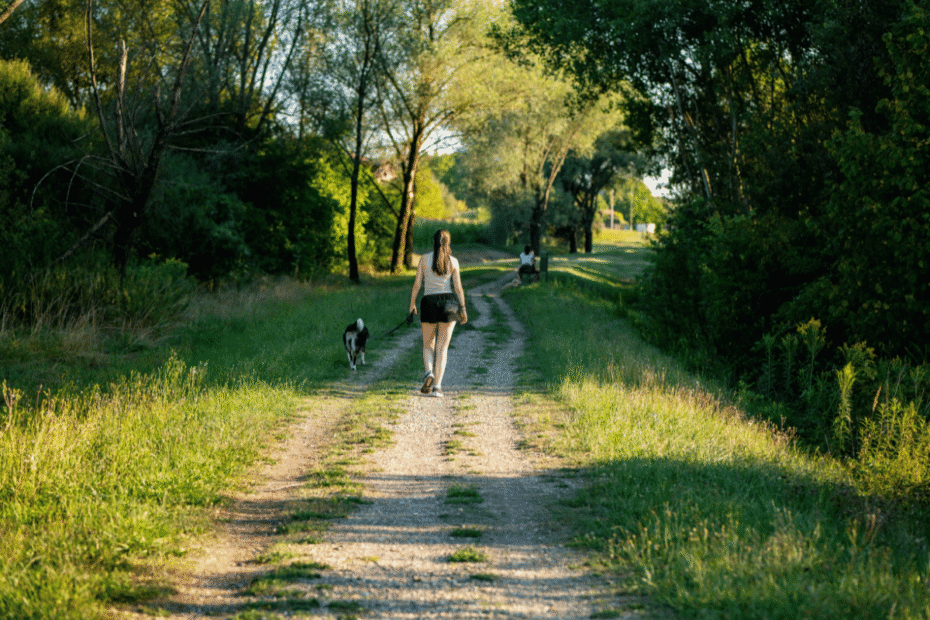 Como diminuir a ansiedade do cachorro no passeio Latidos e Lambidas Blog para Cães