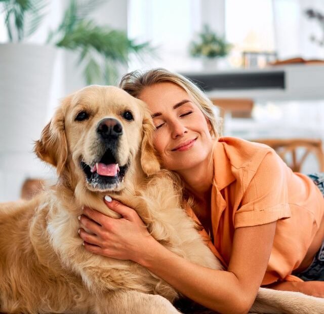 Como entender a missão do cão na sua vida Latidos e Lambidas Capa Web Stories