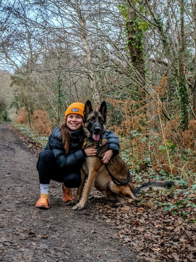 Como potenciar o instinto protetor sem criar um cão feroz?