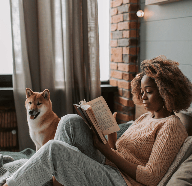 Como ter um cachorro mais calmo e tranquilo Latidos e Lambidas Capa Web Stories