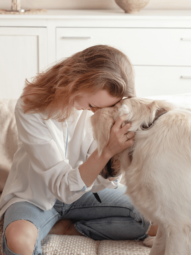Convulsão em cães: O que fazer nos 2 primeiros minutos