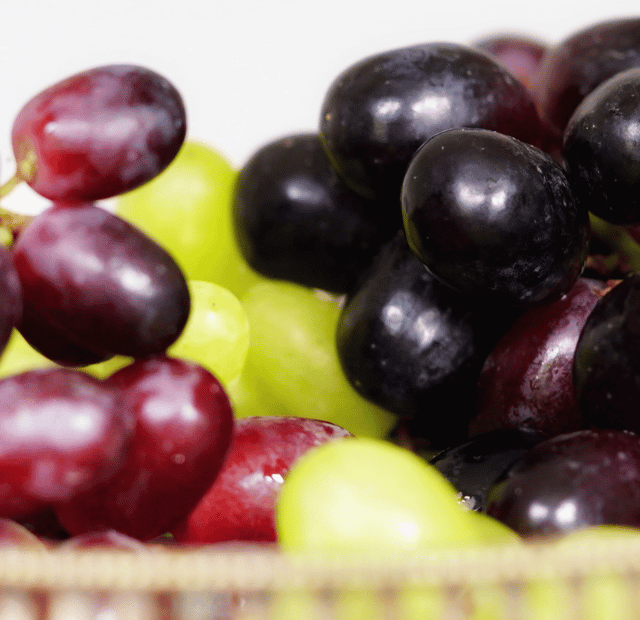 Qual fruta o cachorro não pode comer de jeito nenhum Latidos e Lambidas Capa Web Stories