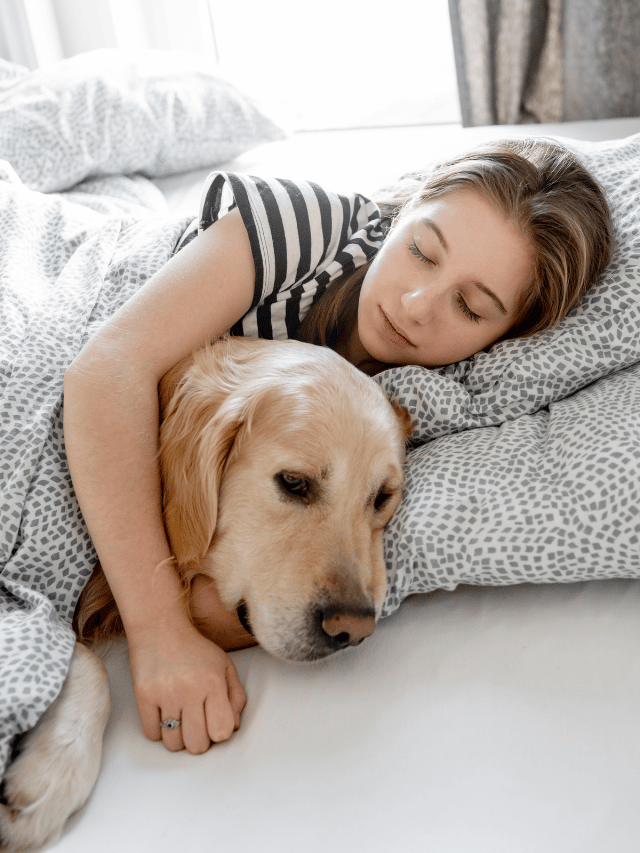 Cachorro pode dormir na cama com o dono?