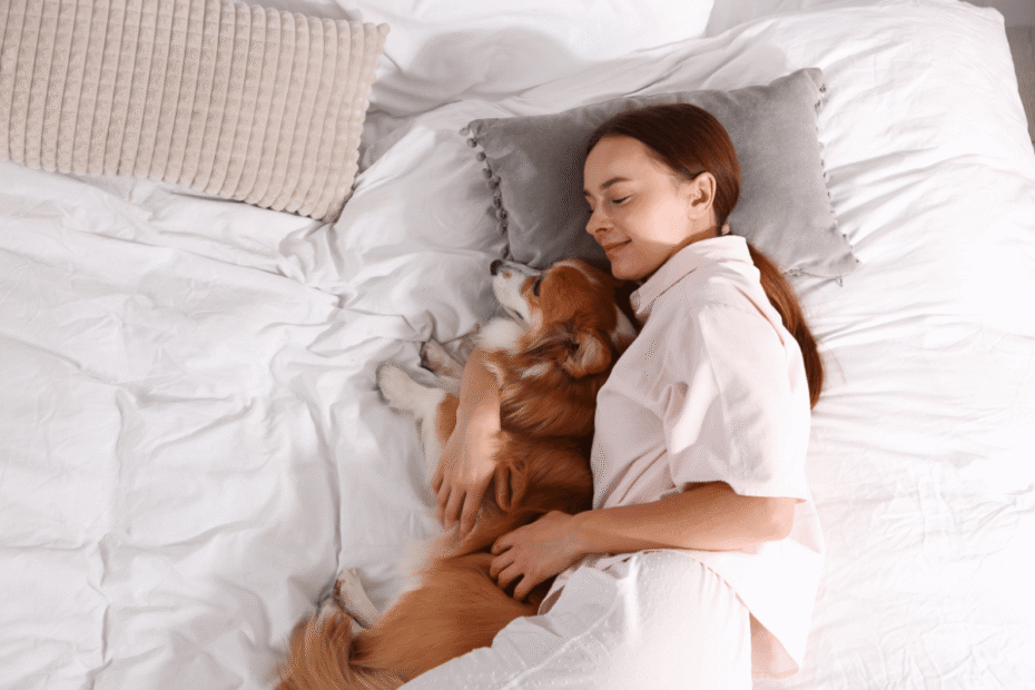 Cachorro pode dormir na cama do dono, Riscos, benefícios e cuidados essenciais, Latidos e Lambidas Blog para Cães