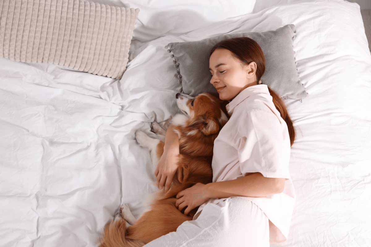 Cachorro pode dormir na cama do dono, Riscos, benefícios e cuidados essenciais, Latidos e Lambidas Blog para Cães
