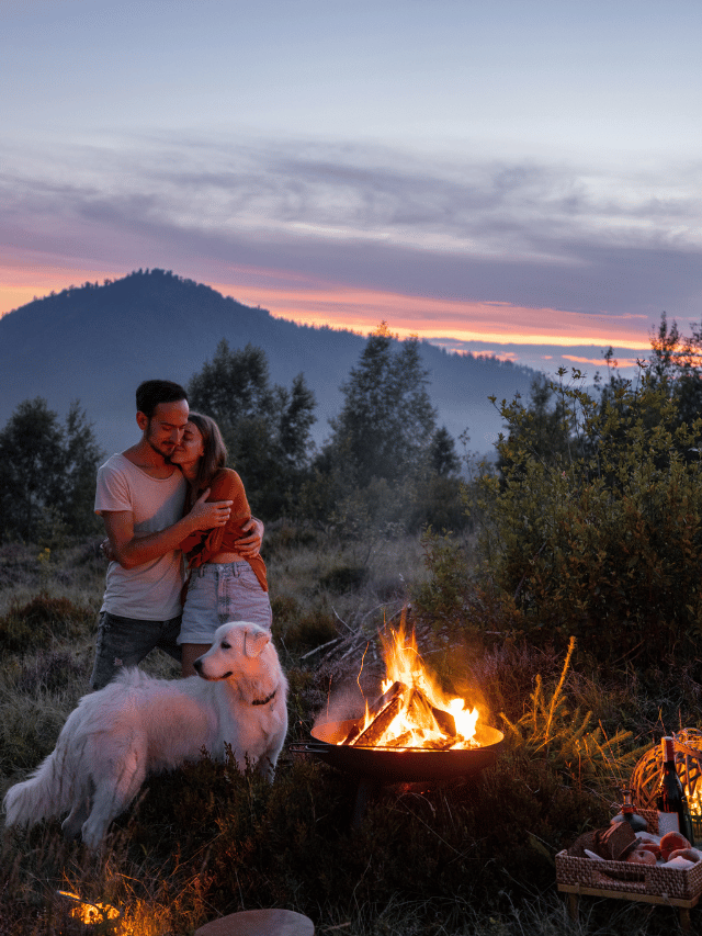 Camping com Cães: O guia de sobrevivência na natureza