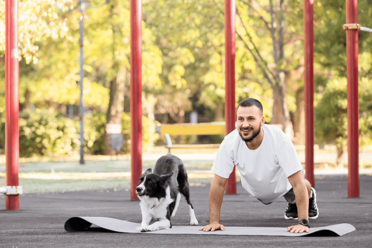 Dê a eles bastante exercício antes de sair, Latidos e Lambidas Blog para Cães