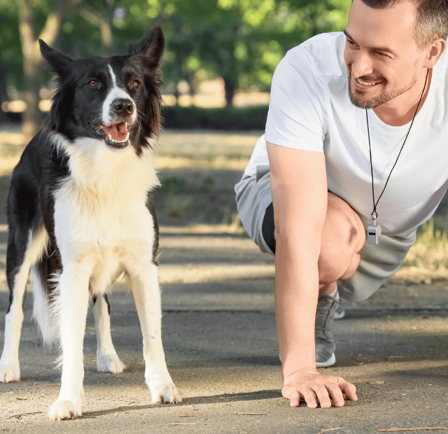 Exercício antes de sair, O segredo para um cão comportado, Latidos e Lambidas Capa Web Stories
