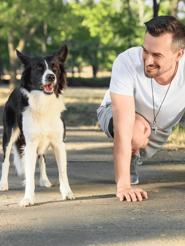 Exercício antes de sair: O segredo para um cão comportado