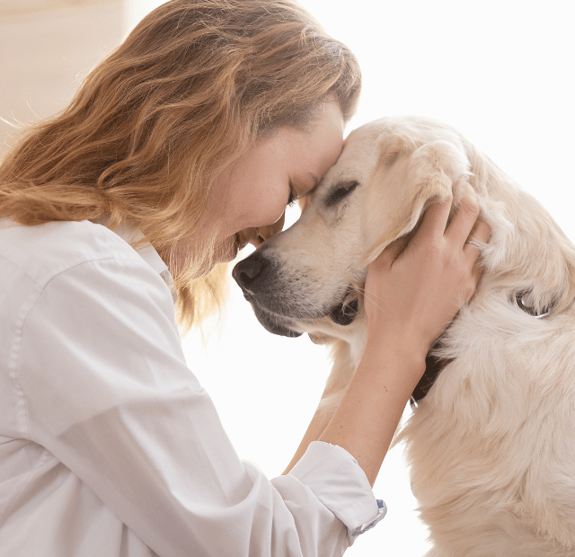 Cães de suporte emocional, como eles salvam vidas diariamente. Latidos e Lambidas Capa Web Stories