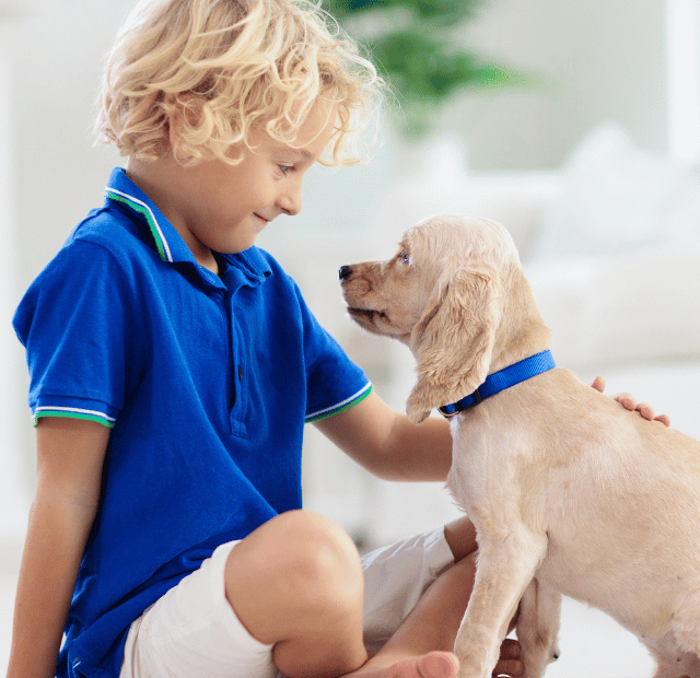 Cinoterapia em Maricá, Como cães ajudam no desenvolvimento infantil, Latidos e Lambidas Capa Web Stories