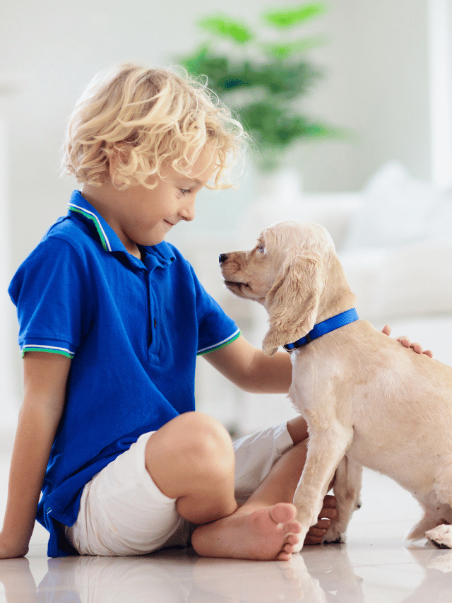 Cinoterapia em Maricá: Como cães ajudam no desenvolvimento infantil?