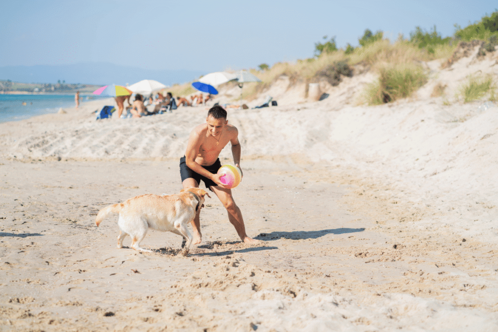Como funciona a restrição de horários nas praias de Florianópolis, Latidos e Lambidas, Blog para Cães
