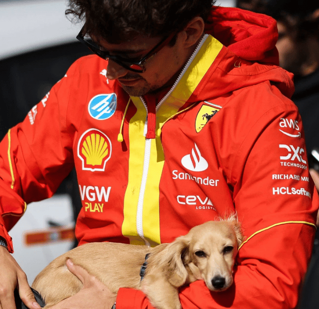 Leo Leclerc, O dachshund que virou o mascote oficial da Fórmula 1, Latidos e Lambidas Capa Web Stories