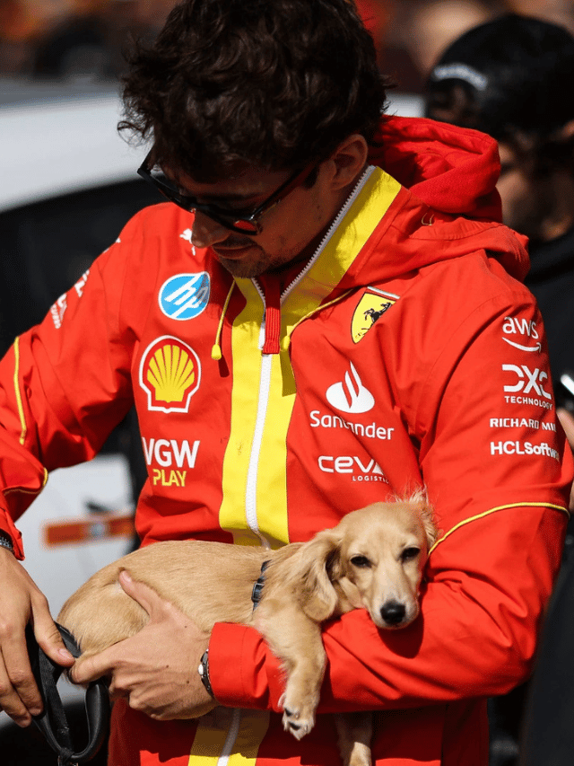 Leo Leclerc: O dachshund que virou o mascote oficial da Fórmula 1?