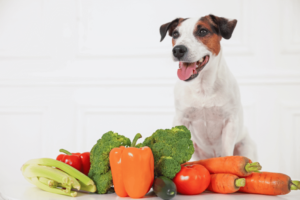 Por que certos vegetais são perigosos para os pets, Latidos e Lambidas, Blog para Cães