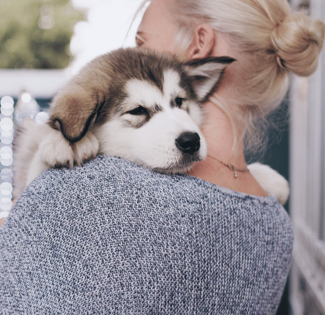 Ter um cachorro faz você ter uma vida mais longa, afirmam estudos.Latidos e Lambidas Capa Web Stories