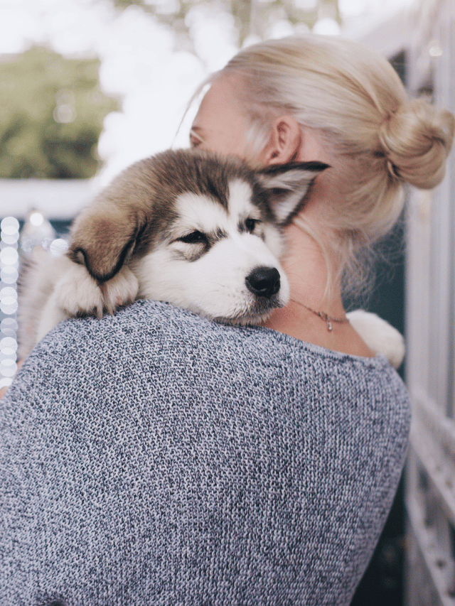 Ter um cachorro faz você ter uma vida mais longa, afirmam estudos.