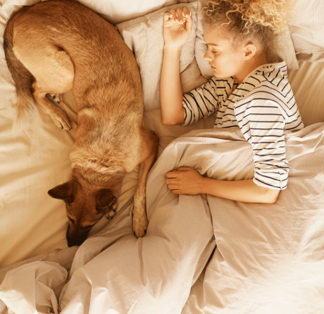Cachorro pode dormir na cama com o dono, Latidos e Lambidas Capa Web Stories
